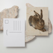 Young Hare | Albrecht Dürer Briefkaart