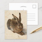 Young Hare | Albrecht Dürer Briefkaart