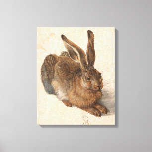 Young Hare Albrecht Dürer Canvas Afdruk