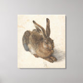 Young Hare Albrecht Durer Canvas Afdruk (Voorkant)