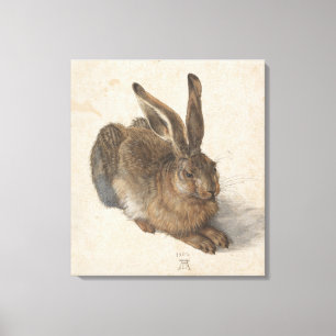 Young Hare Albrecht Durer Canvas Afdruk