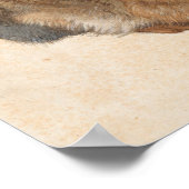 Young Hare | Albrecht Dürer Poster (Hoek)