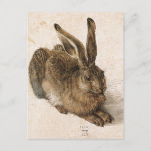 "Young Hare" Briefkaart
