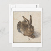 Young Hare by Albrecht Durer Briefkaart (Voorkant / Achterkant)