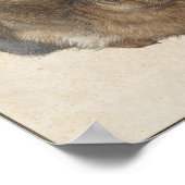 Young Hare by Albrecht Durer Poster (Hoek)