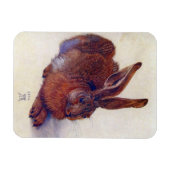 Young Hare by Albrecht Durer, Renaissance Fine Art Magneet (Horizontaal)
