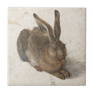 Young Hare by Albrecht Durer Tegeltje