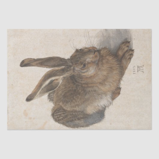 Young Hare by Albrecht Durer Tissuepapier (Voorkant)