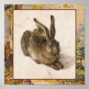 Young Hare Print