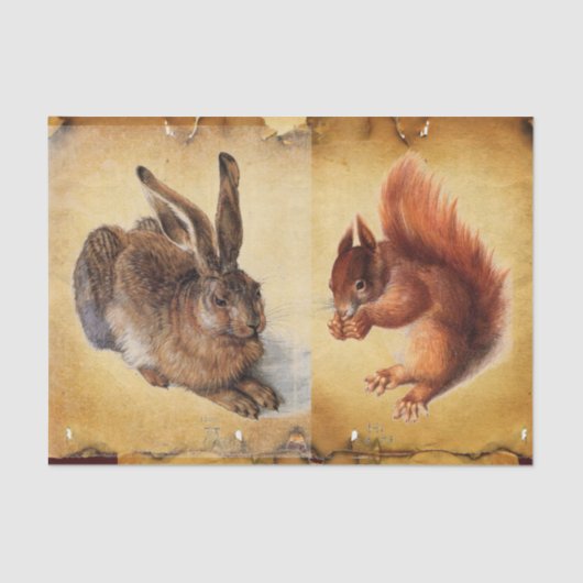 Young Hare (Rabbit), Squirrel and Nuts Parchment Tissuepapier (Voorkant)