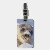 Young Harp Seal Bagagelabel (Voorkant verticaal)
