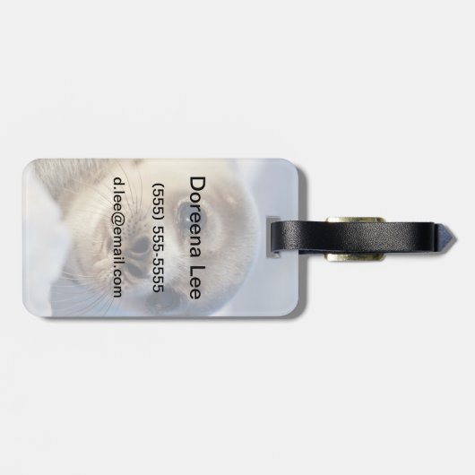 Young Harp Seal Bagagelabel (Achterkant horizontaal)