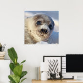Young Harp Seal Poster (Thuiskantoor)