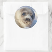 Young Harp Seal Ronde Sticker (Tas)