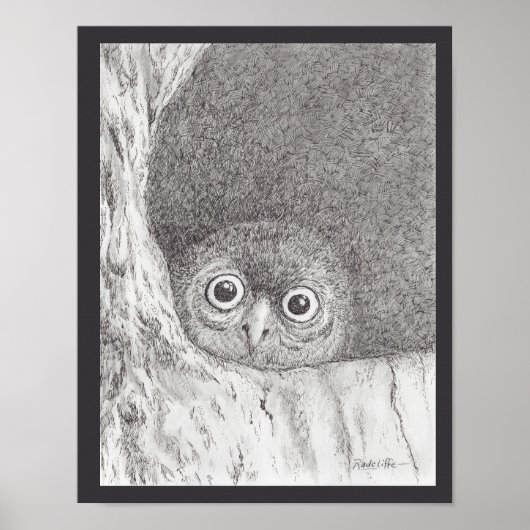 Young Hawk Owl Print (Voorkant)