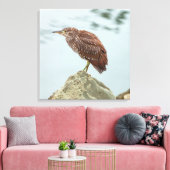 Young Heron Canvas Afdruk (Insitu (Woonkamer))
