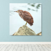 Young Heron Canvas Afdruk (Insitu (Houten vloer))