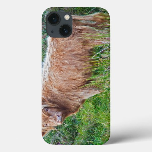 Young Highland Cow coque ipad (Verso)