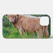 Young Highland Koe iPad Case (Achterkant (horizontaal))