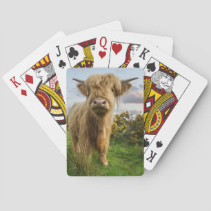 Young Highland Koe Pokerkaarten