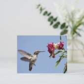 Young Hummingbird Briefkaart (Staand voorkant)