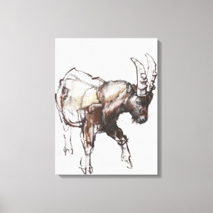 Young Ibex Gran Paradiso 2005 Canvas Afdruk