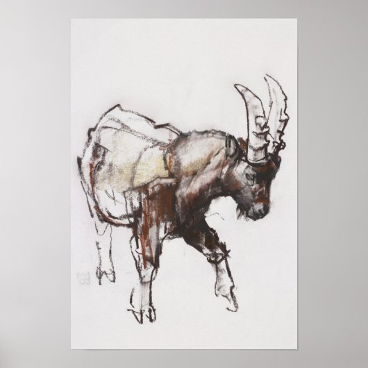 Young Ibex Gran Paradiso 2005 Poster (Voorkant)