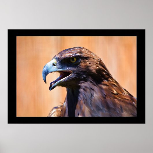 Young Juvenile Bald Eagle Wildlife Painting Poster (Voorkant)