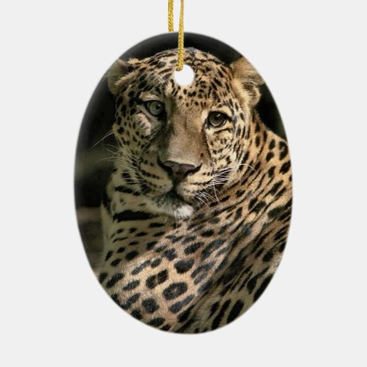 Young Leopard-kerstversiering Keramisch Ornament (Achterkant)