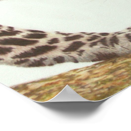 Young Leopard Painting Poster (Hoek)