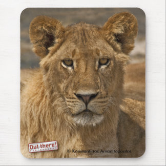 Young Lion Muismat
