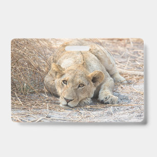 Young Lions Badge