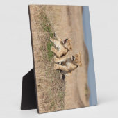 Young Lions Fotoplaat (Zijkant)
