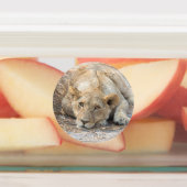 Young Lions Labels (Aangebracht)