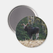 Young Magneet (Voorkant / Achterkant)