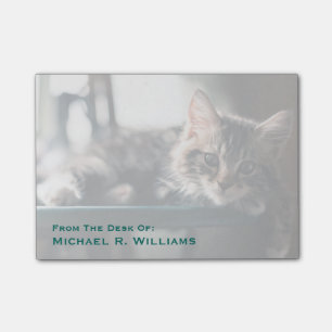 Young Male Tabby Cat 2 Post-it® Notes