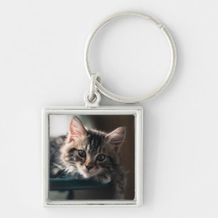 Young Male Tabby Cat 2 Sleutelhanger