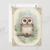 Young Owl Baby Wild Animals Briefkaart (Voorkant / Achterkant)