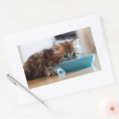 Young Persian Kitten Rechthoekige Sticker (Envelop)