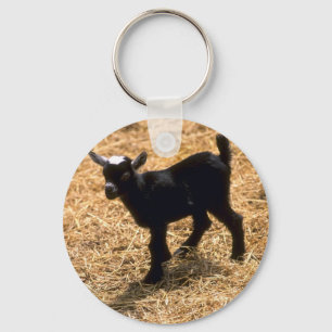 Young Pigmy Goat Sleutelhanger