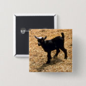 Young Pigmy Goat Vierkante Button 5,1 Cm (Voorkant /achterkant)