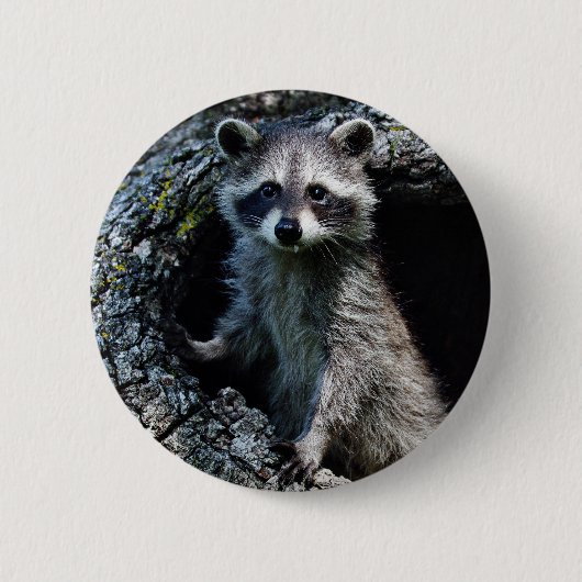 Young Raccoon Ronde Button 5,7 Cm (Voorkant)