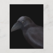 Young Raven Briefkaart (Voorkant)