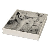 Young Red Fox & Carolina Wren Bird Waterverf Art Rubberstempel (Stempel)