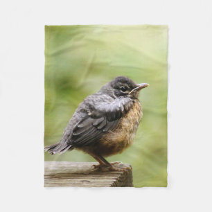Young Robin Fleece Deken