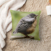 Young Robin Kussen (Deken)