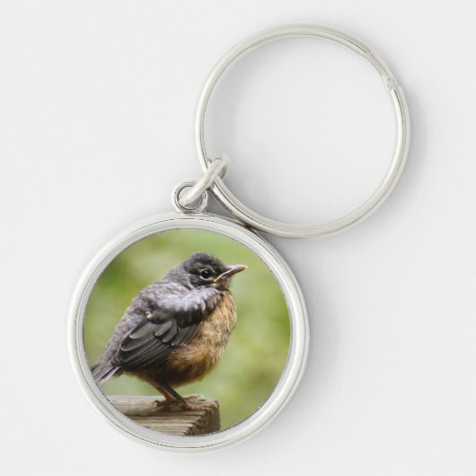 Young Robin Sleutelhanger (Voorkant)