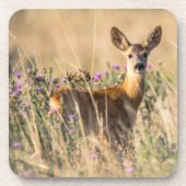 Young Roe Deer in Meadow Bier Onderzetter (Voorkant)