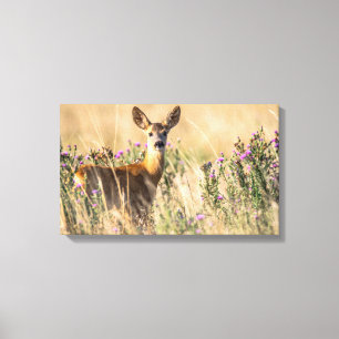 Young Roe Deer in Meadow Canvas Afdruk