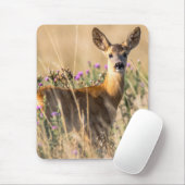 Young Roe Deer in Meadow Muismat (Met muis)